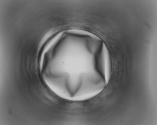 X0000113540102200910091252