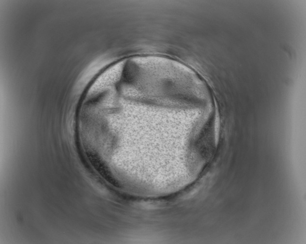 X0000113540103200910091252