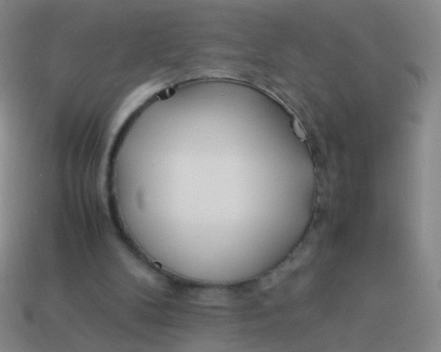 X0000113540104200910091252