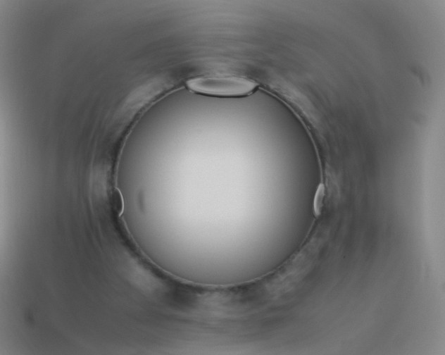 X0000113540105200910091252