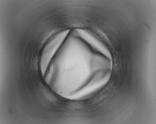 X0000113540106200910091252