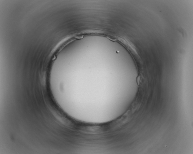 X0000113540108200910091252