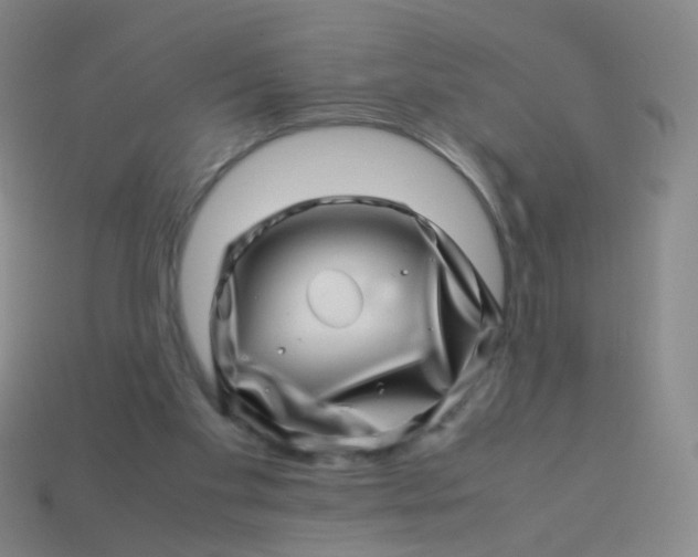 X0000113540109200910091252