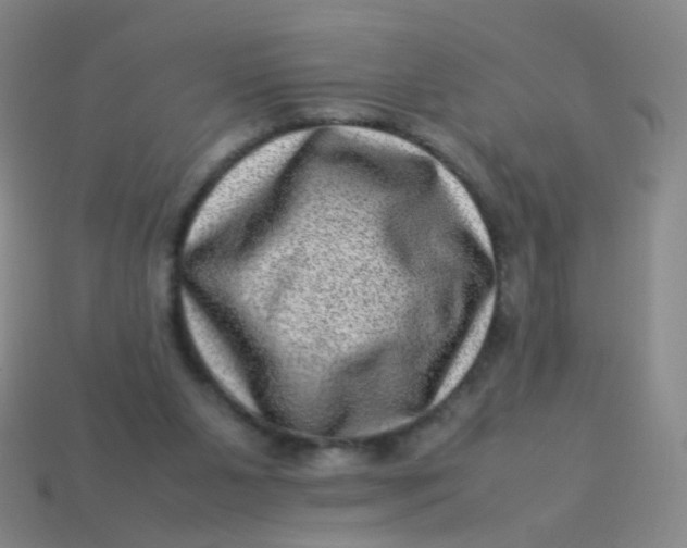 X0000113540111200910091252