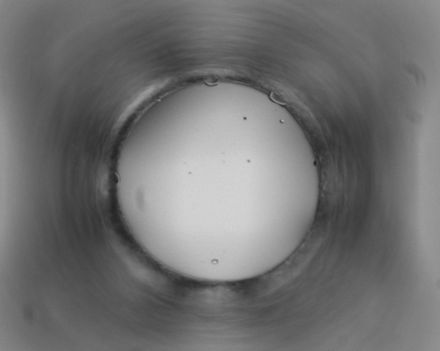 X0000113540112200910091252