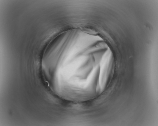 X0000113540113200910091252