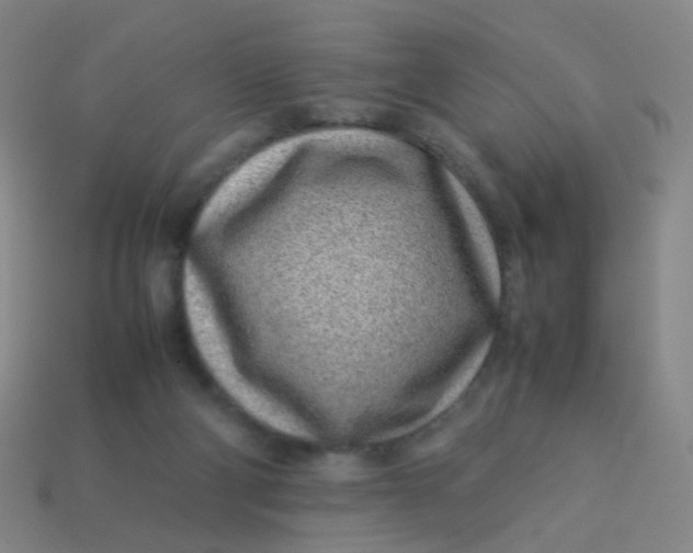 X0000113540114200910091252