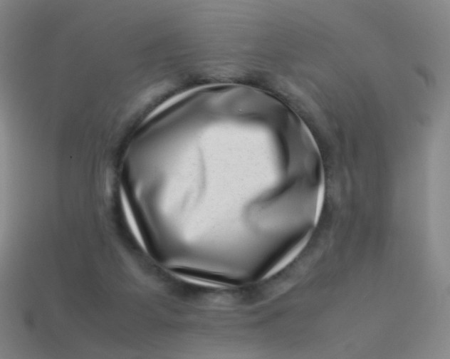 X0000113540115200910091252