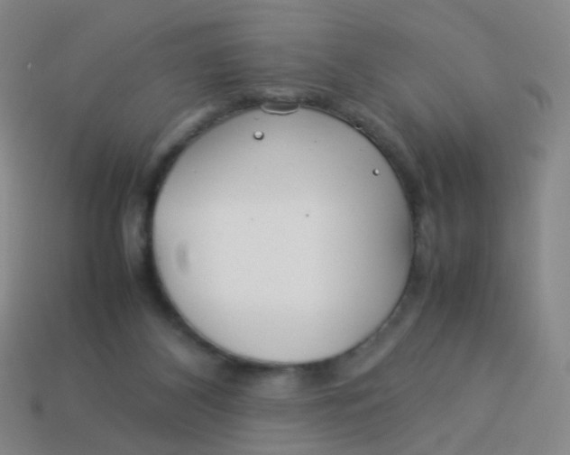 X0000113540116200910091251