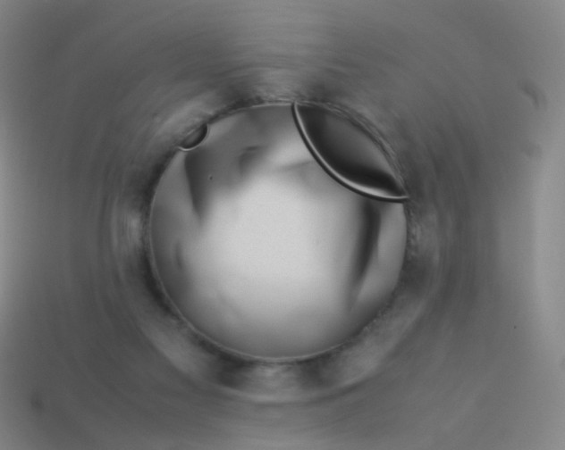 X0000113540117200910091251
