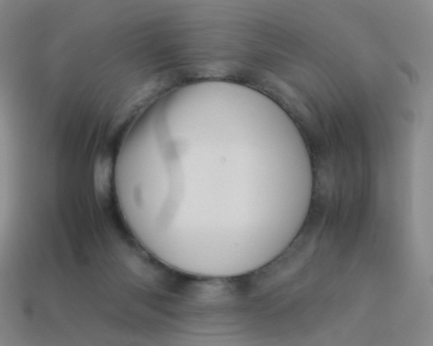 X0000113540118200910091251