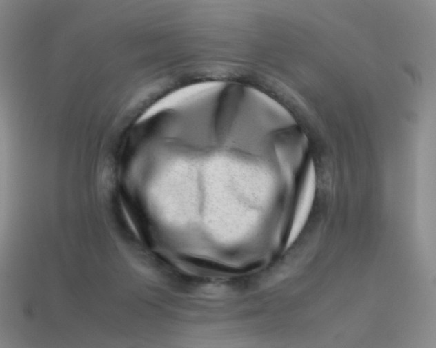 X0000113540119200910091251