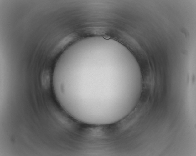 X0000113540120200910091251