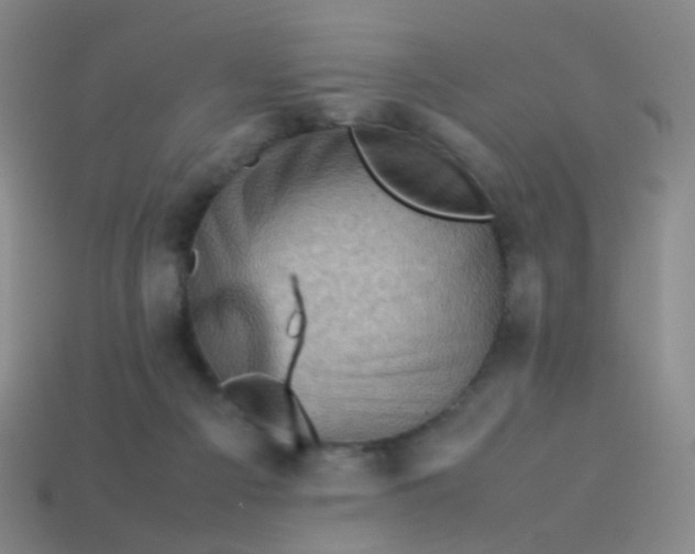 X0000113540121200910091251