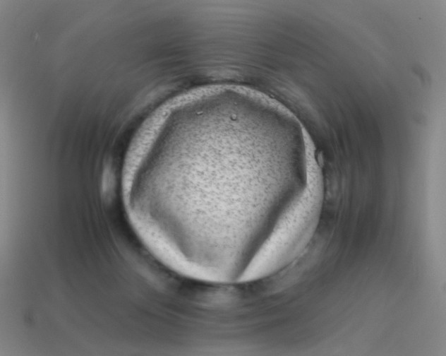 X0000113540124200910091251