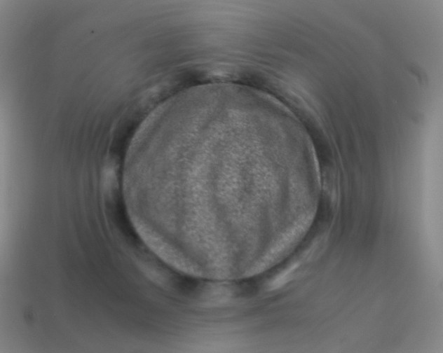 X0000113540127200910091251
