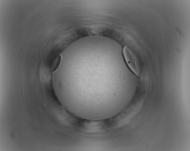 X0000113540129200910091251