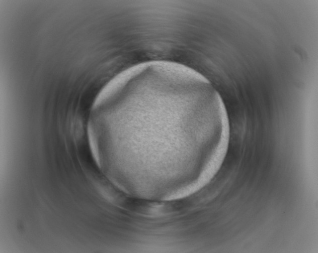 X0000113540130200910091251