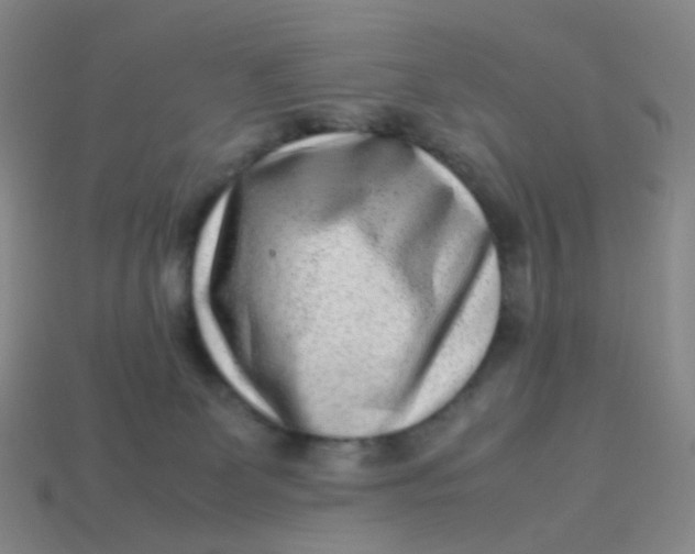X0000113540131200910091251