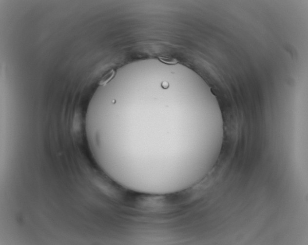 X0000113540132200910091251