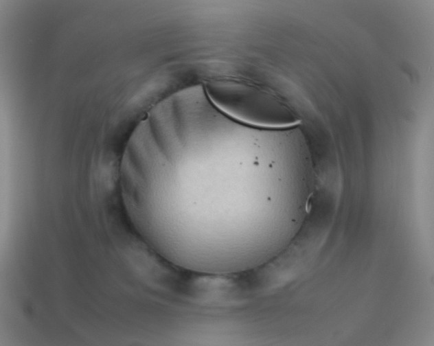 X0000113540133200910091251