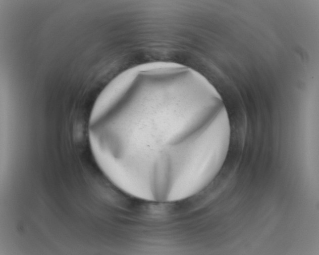 X0000113540134200910091251