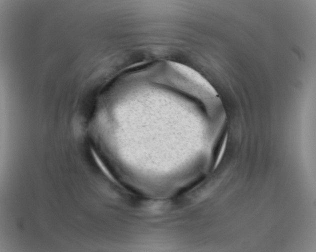 X0000113540135200910091251