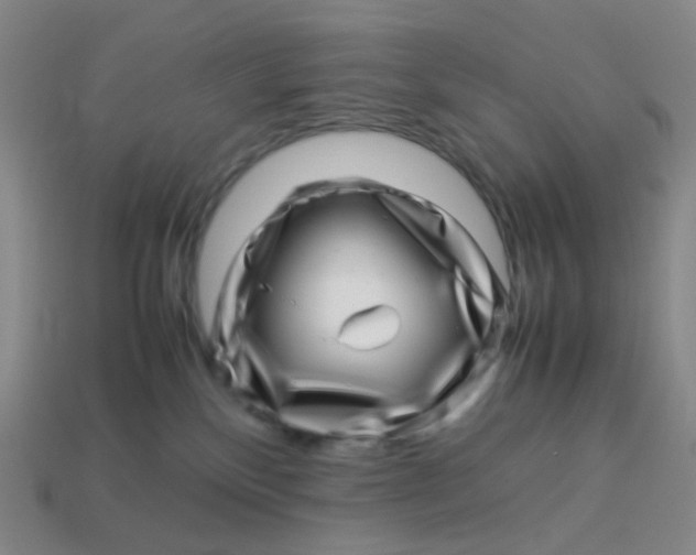X0000113540136200910091251