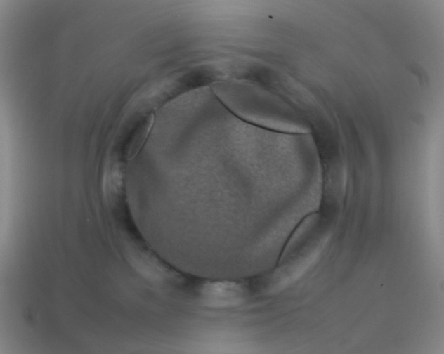 X0000113540137200910091251