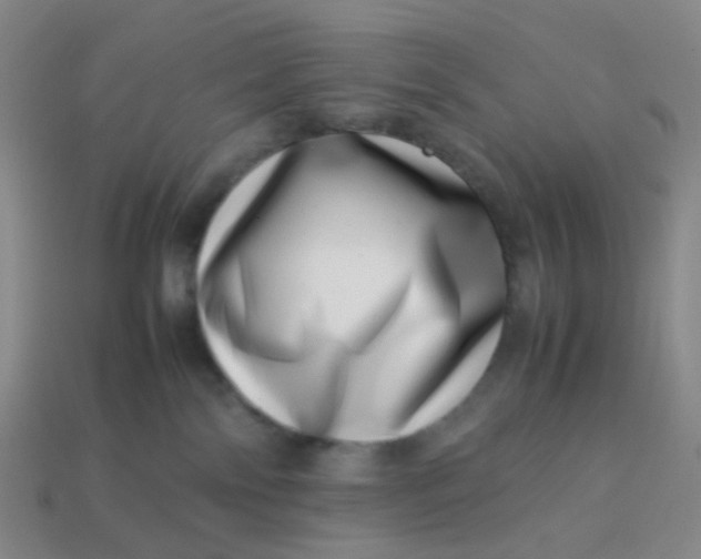 X0000113540138200910091251