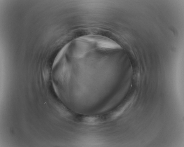 X0000113540139200910091251