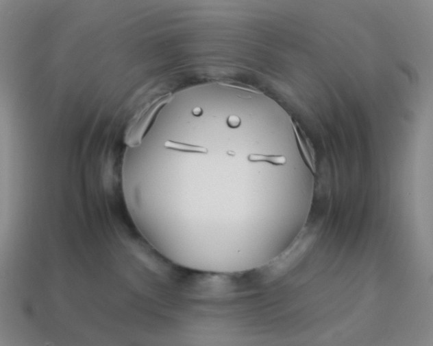 X0000113540140200910091251