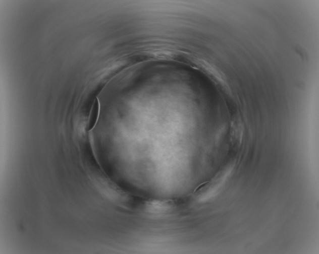 X0000113540141200910091251