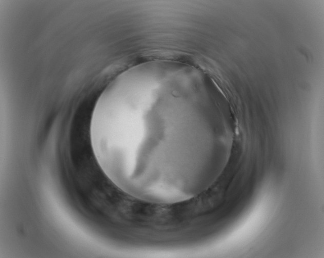 X0000113540143200910091251