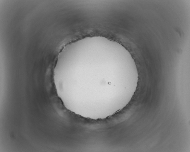 X0000113540144200910091251