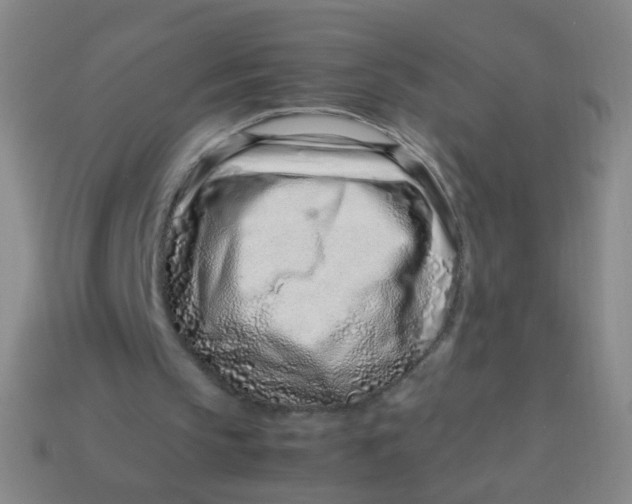 X0000113540145200910091250