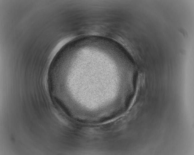X0000113540147200910091250