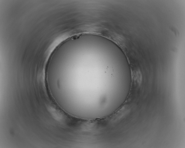 X0000113540148200910091250