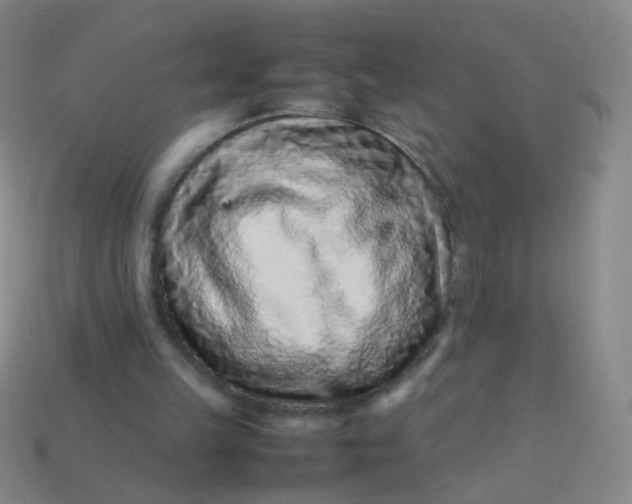 X0000113540149200910091250