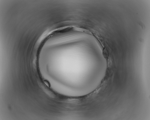 X0000113540150200910091250