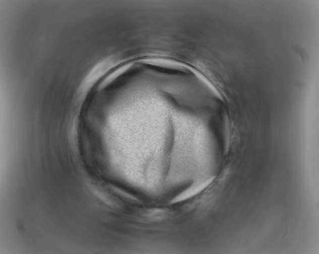 X0000113540151200910091250