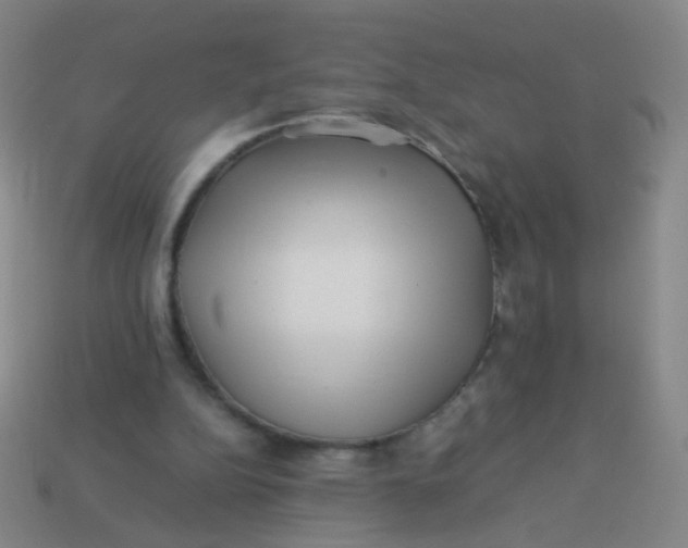 X0000113540152200910091251