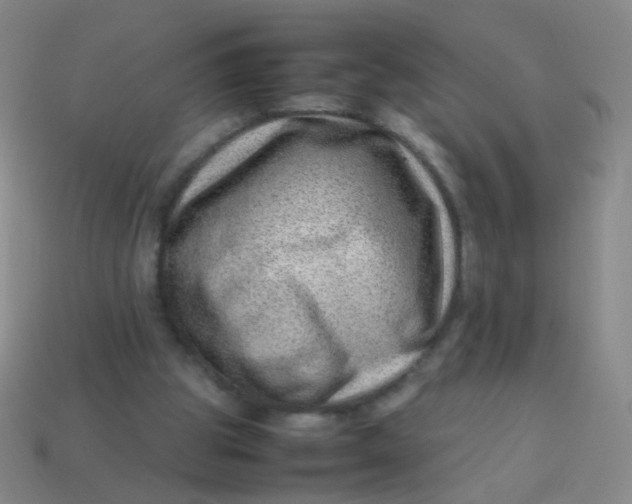 X0000113540153200910091251