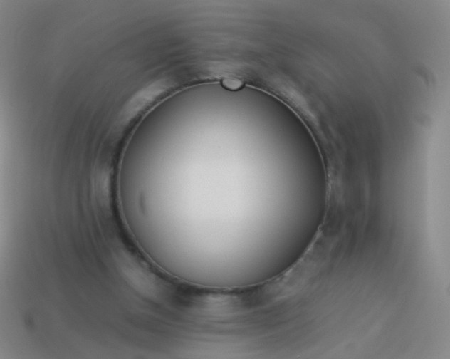 X0000113540154200910091251
