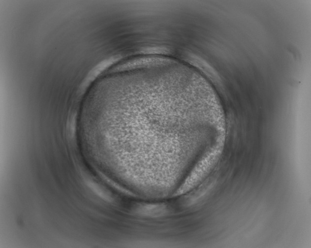 X0000113540155200910091251
