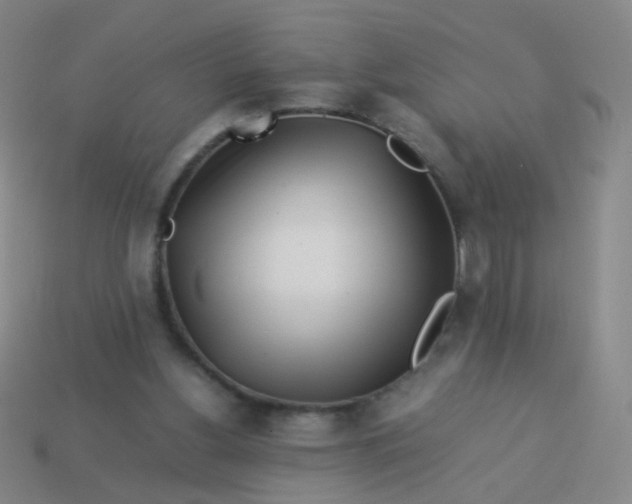 X0000113540156200910091251
