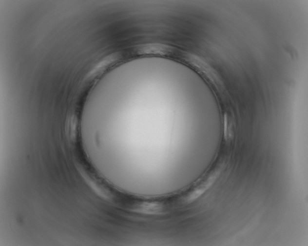 X0000113540157200910091251
