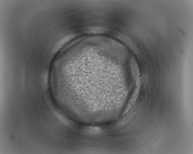 X0000113540159200910091251