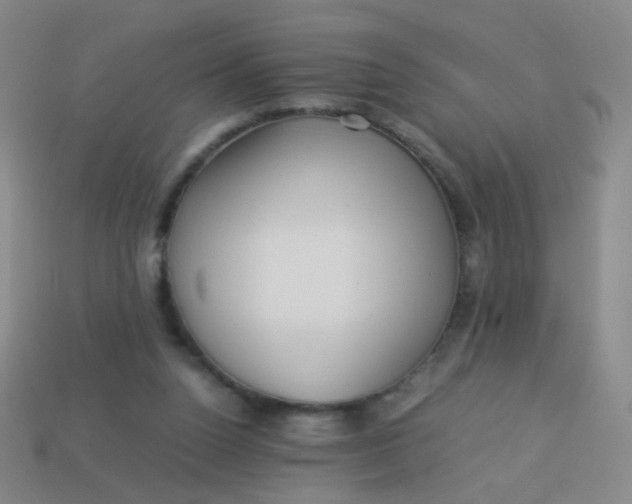 X0000113540160200910091251
