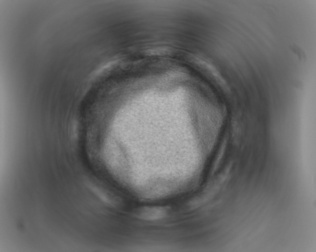 X0000113540161200910091251